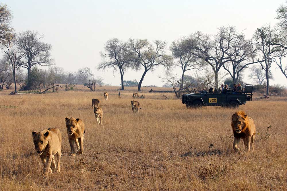 Great value safari destinations in 2015 - Africa Uncovered