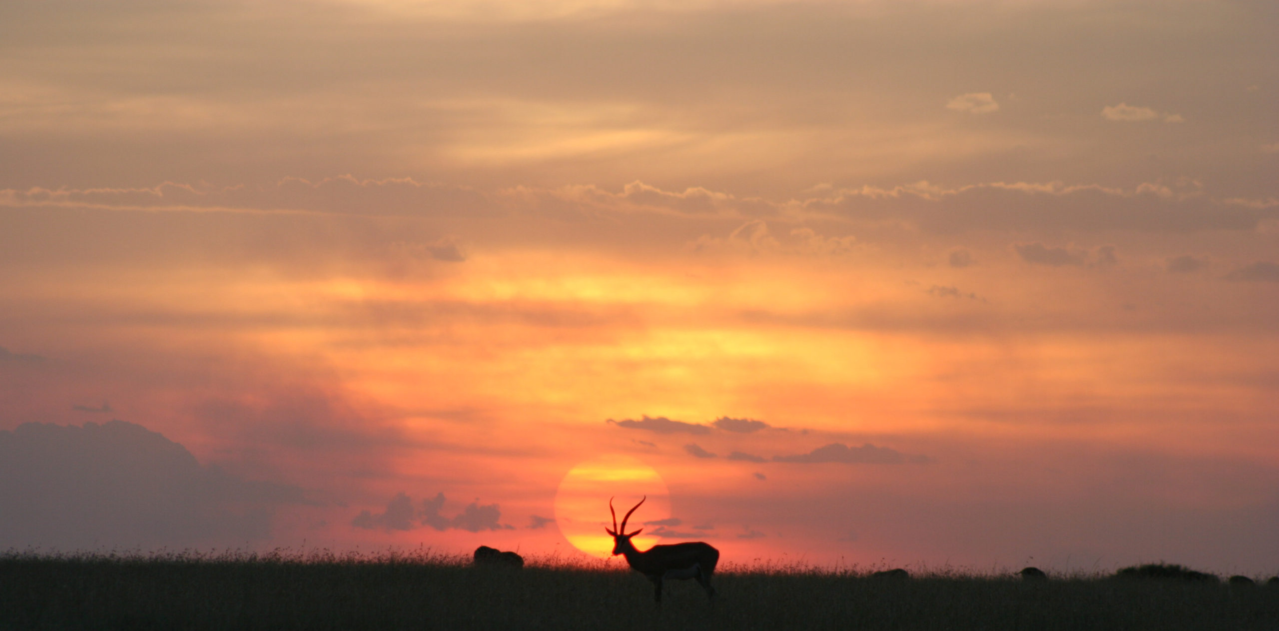 Sunset at Naboisho Camp